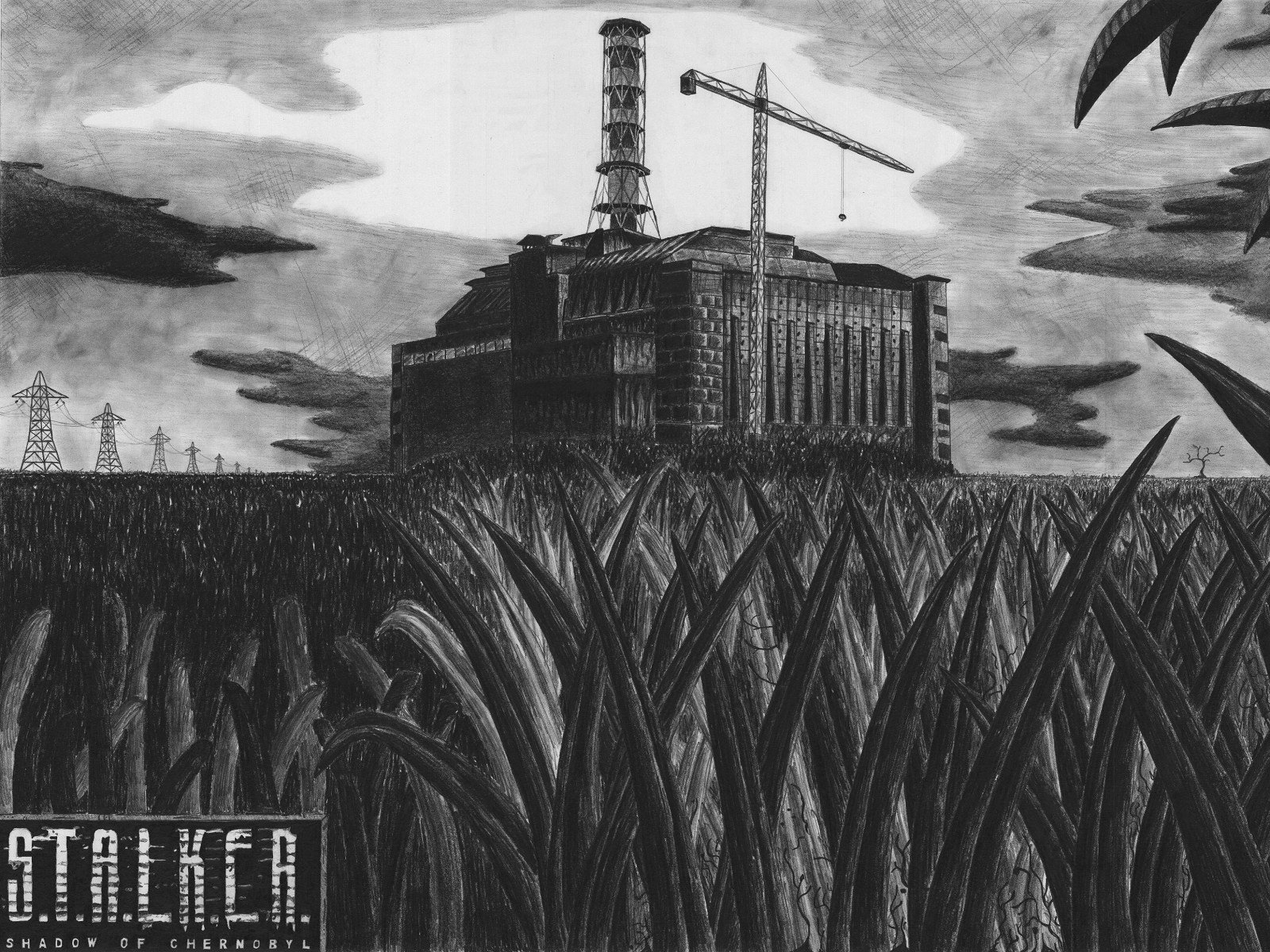 stalker gras kernkraftwerk tschernobyl