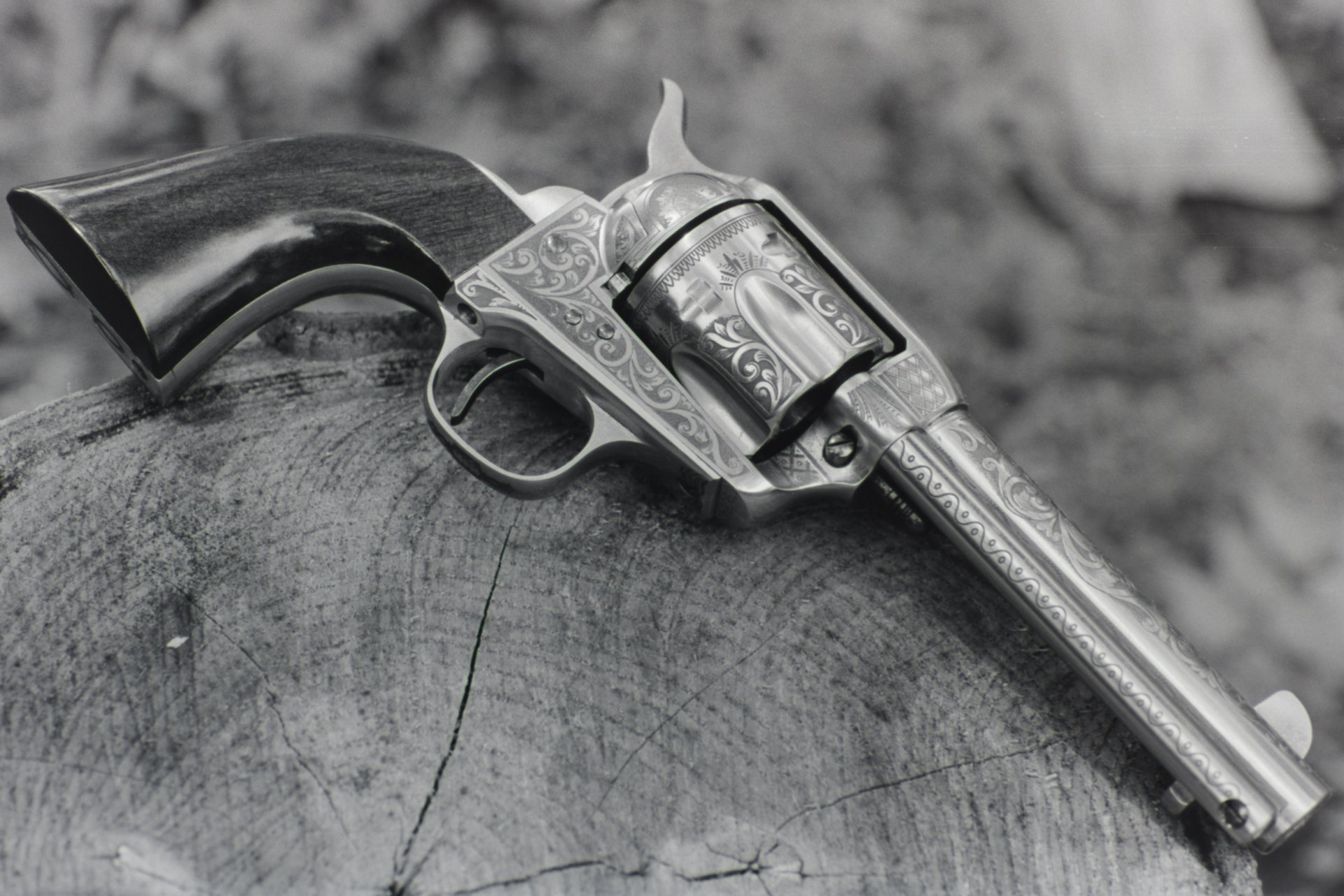 revolver leather trunk weapon