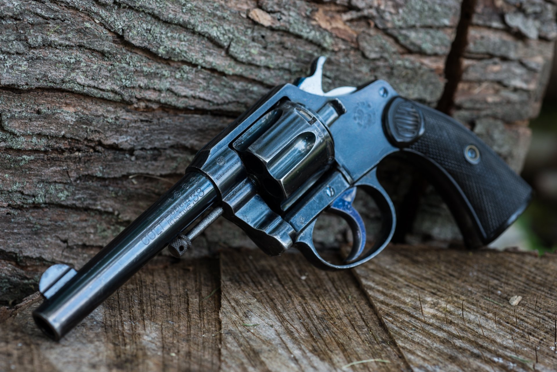 1906 asino polizia revolver armi