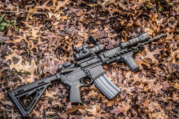 AR-15 assault rifle photo on the background of leaves