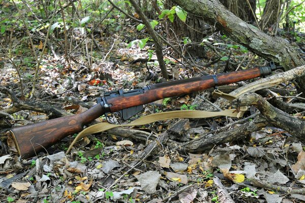 Das Gewehr ist im trockenen Wald, bereit für die Jagd