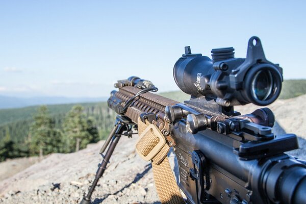 AR-15 assault rifle with sight