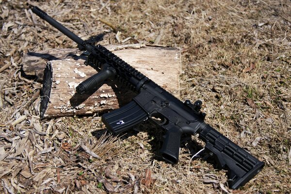 Fusil AR-15 photo d armes sur l herbe