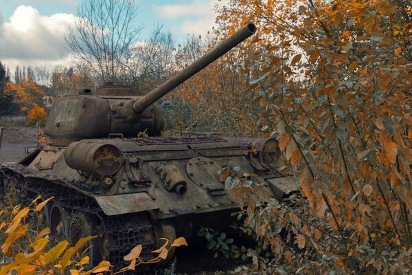 Char militaire abandonné depuis la guerre