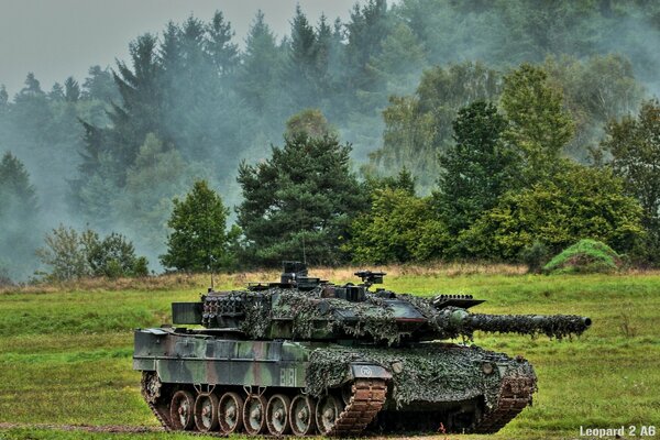 A tank covered with moss in the middle of the forest