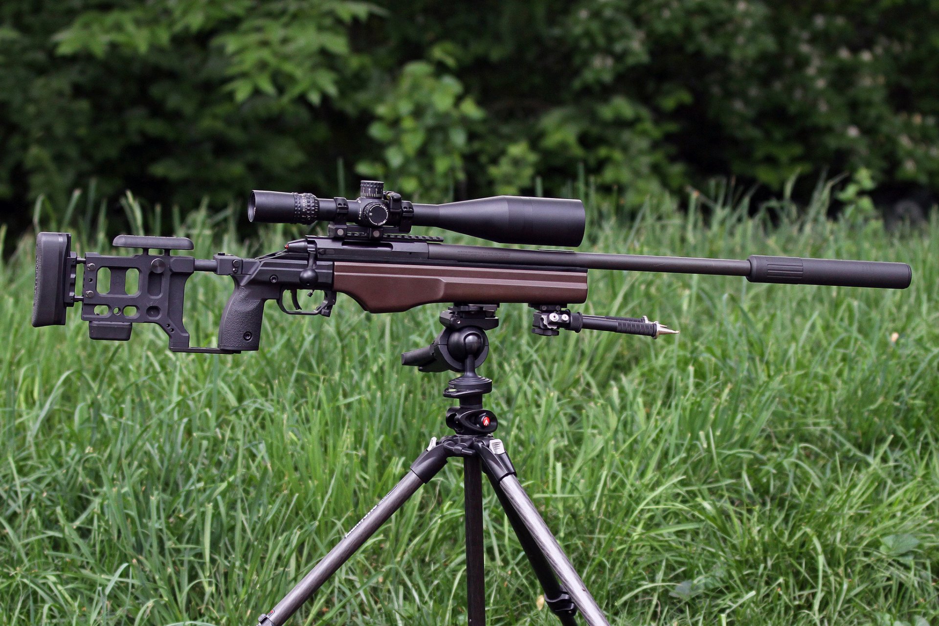 ako trg-22 sniper fusil vue forêt herbe