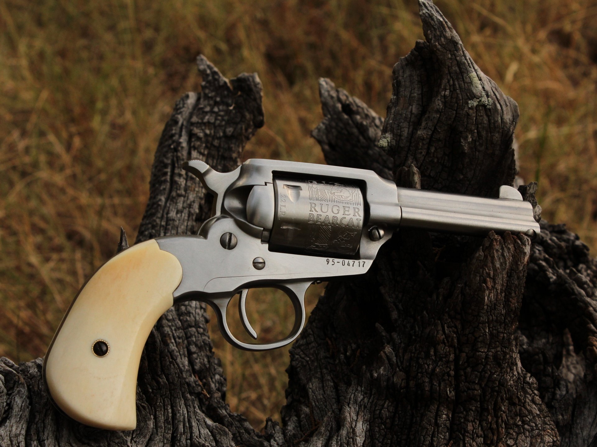 revolver ruger .22 cal panda