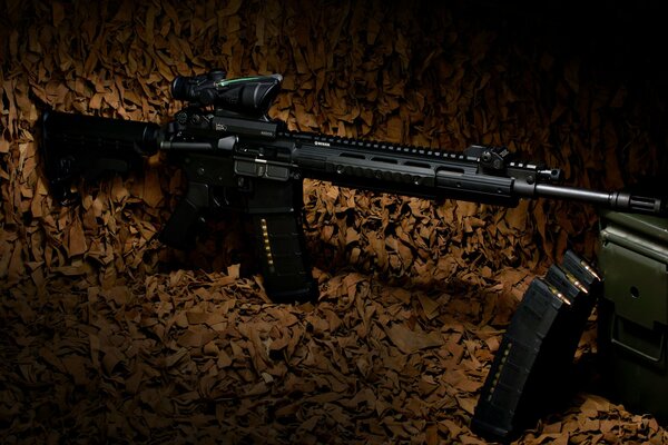 Semi-automatic rifle with carbine