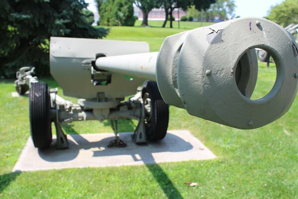 Kanonenartillerie bei einer Ausstellung im Park