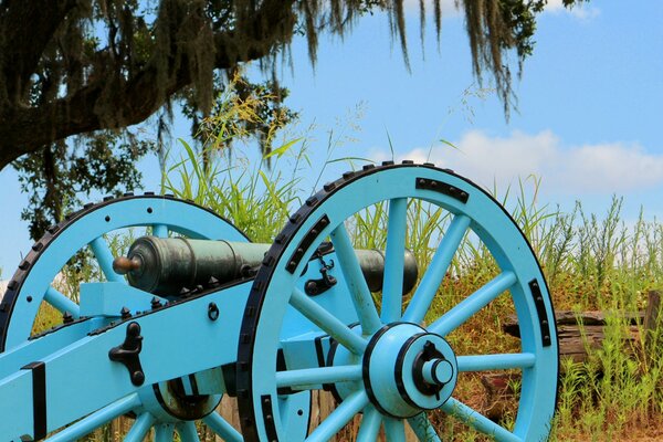 A blue-colored cannon under a tree