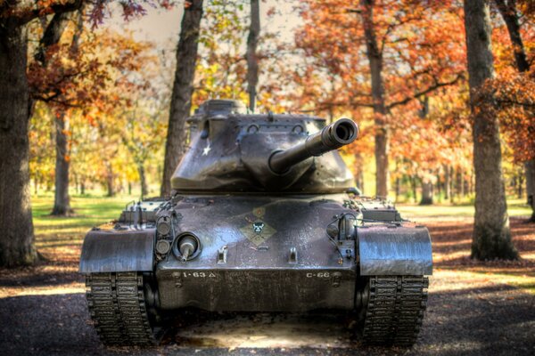 Tanque en el fondo del bosque de otoño