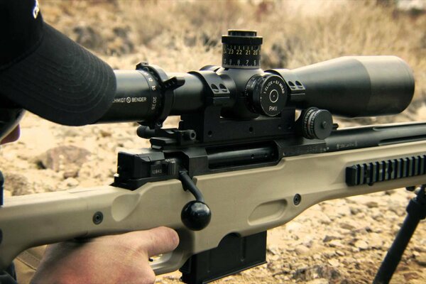 Optical rifle. A look through the scope