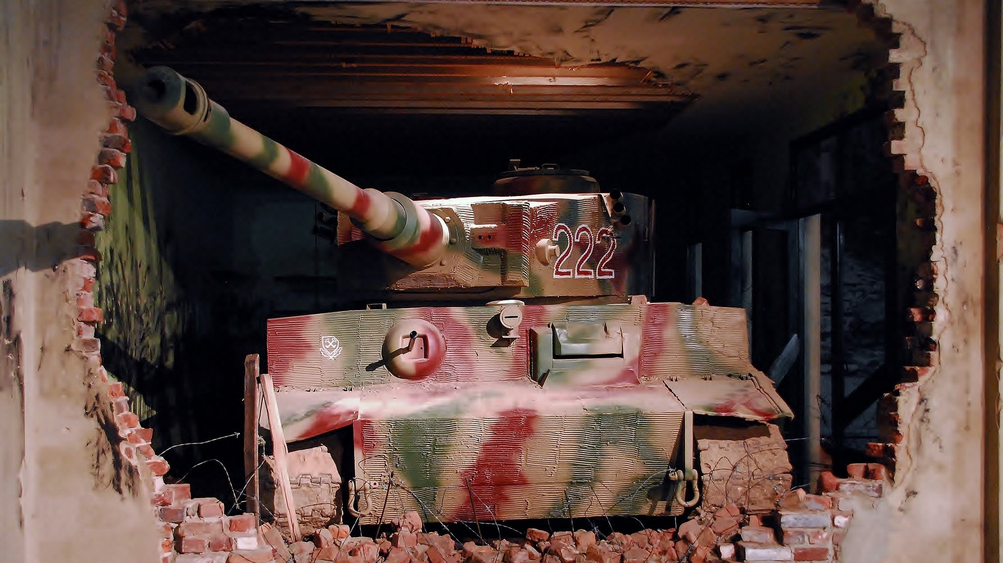 tiger tiger i ruins museum