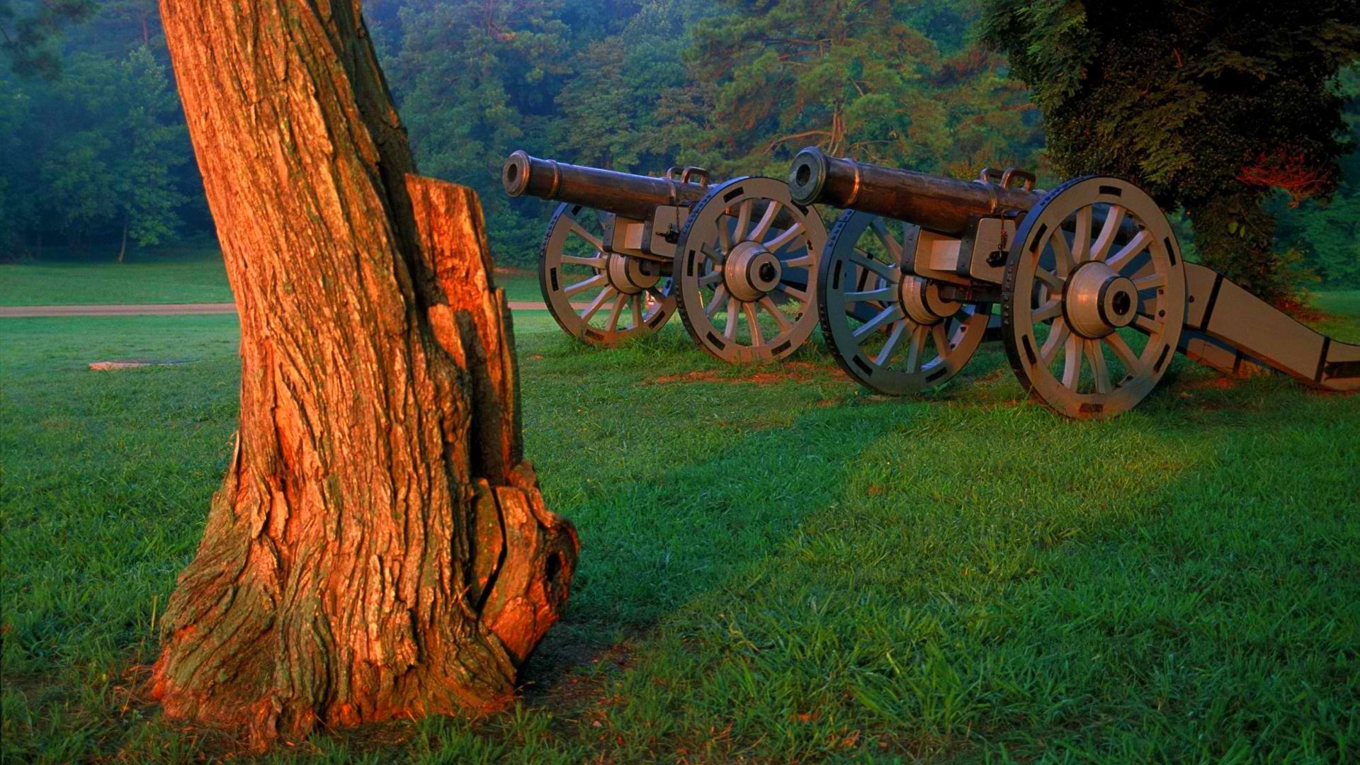 forest edge grass tree gun carriage wheel