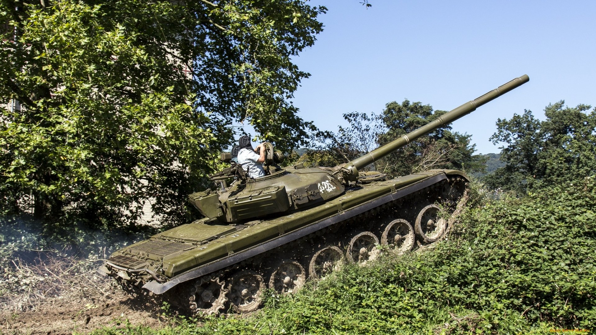 tanque potencia vegetación algo así como un t-72