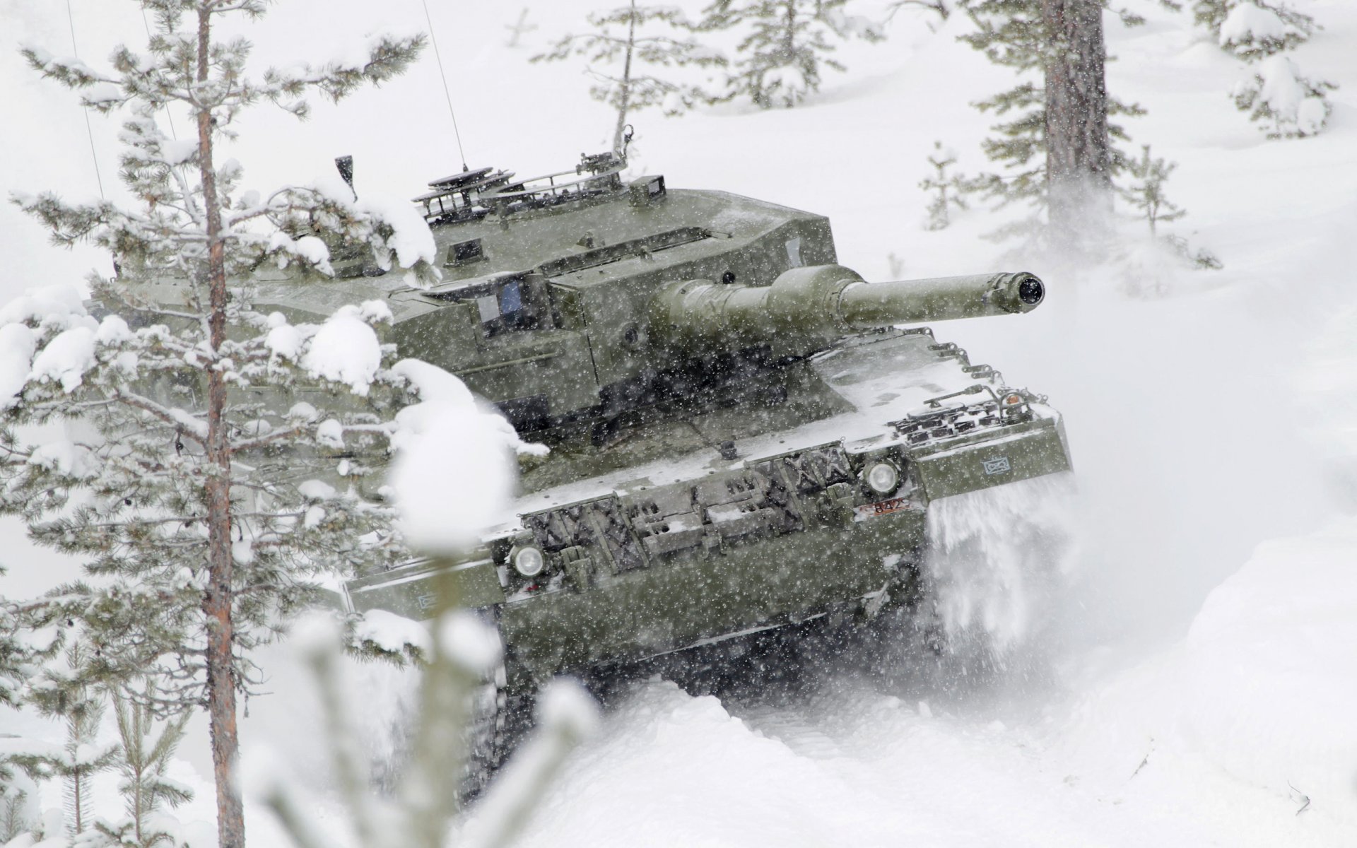 tank leopard winter snow tree