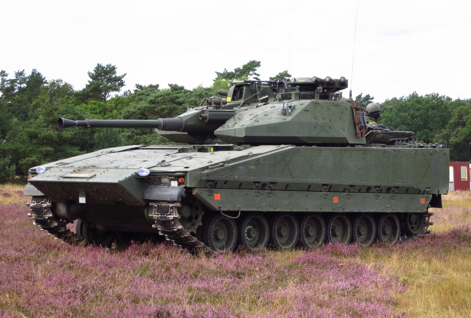 cv-9030 combat véhicule infanterie forêt herbe