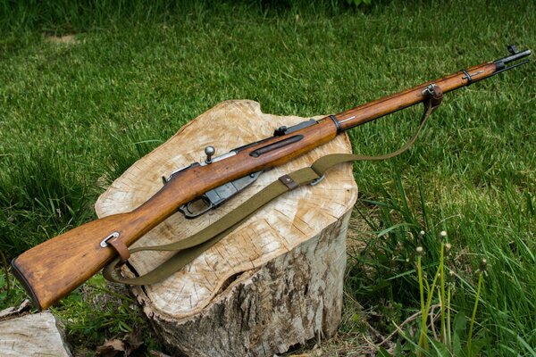 A hunting rifle lies alone on a stump