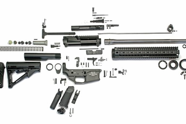 Gewehr im zerlegten Zustand