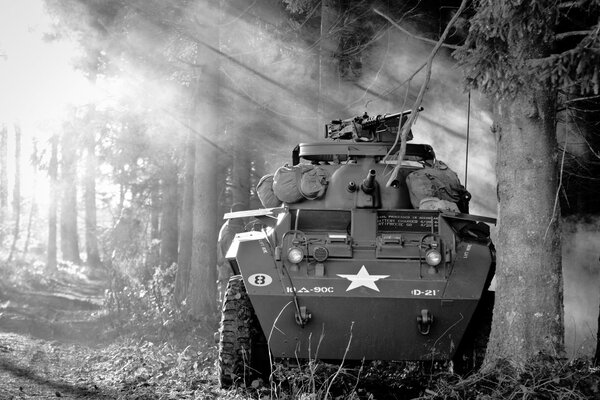 Vehículo blindado de la segunda guerra mundial en el fondo de un bosque en blanco y negro