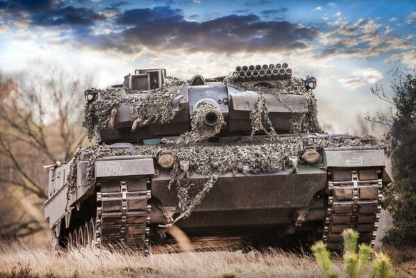 Tank sky clouds grass