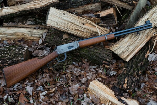 Le fusil Winchester repose sur du bois de chauffage