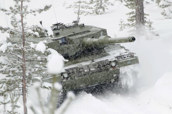 Leopard tank among snow-covered trees