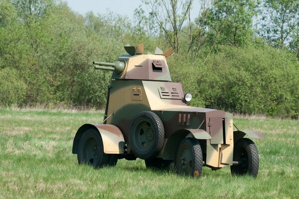 Equipo militar en verano en la naturaleza