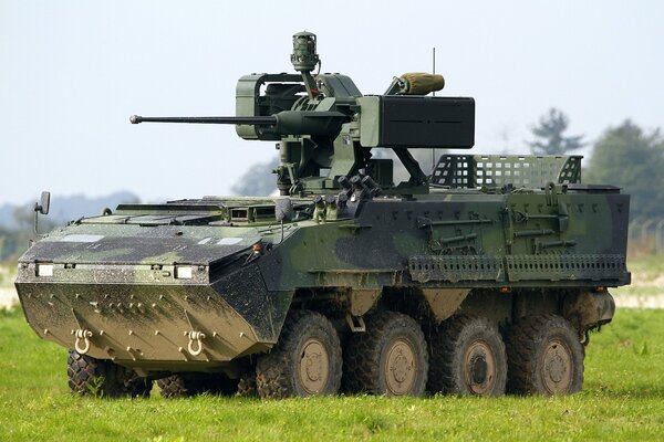 Véhicule blindé de combat sur le terrain