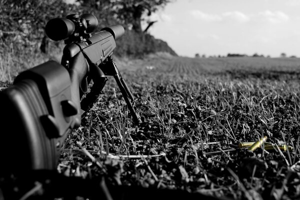 Rifle en la hierba en blanco y negro