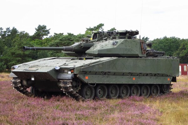 Combat vehicle in grass and flowers