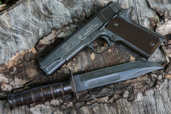 Imagen de arma Pistol y cuchillo