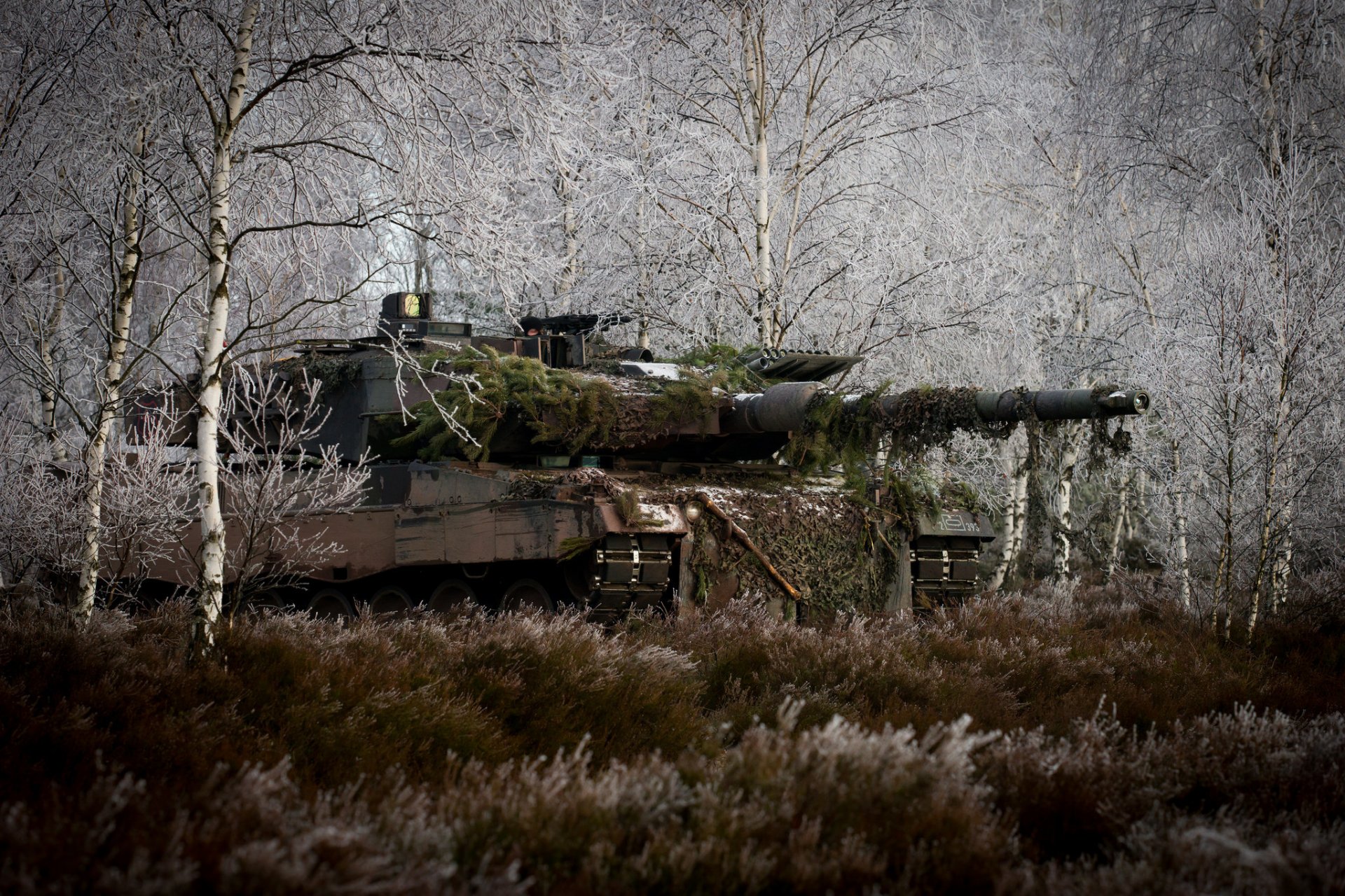 leopard 2a6m czołg przebranie drzewa trawa las