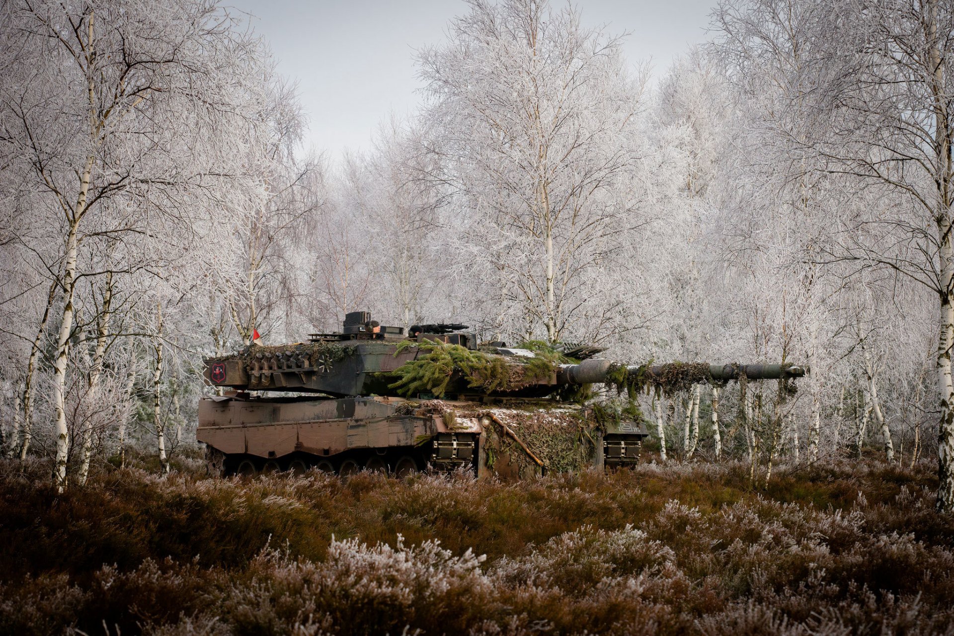 leopard 2a6m kampf panzer bäume gras wald