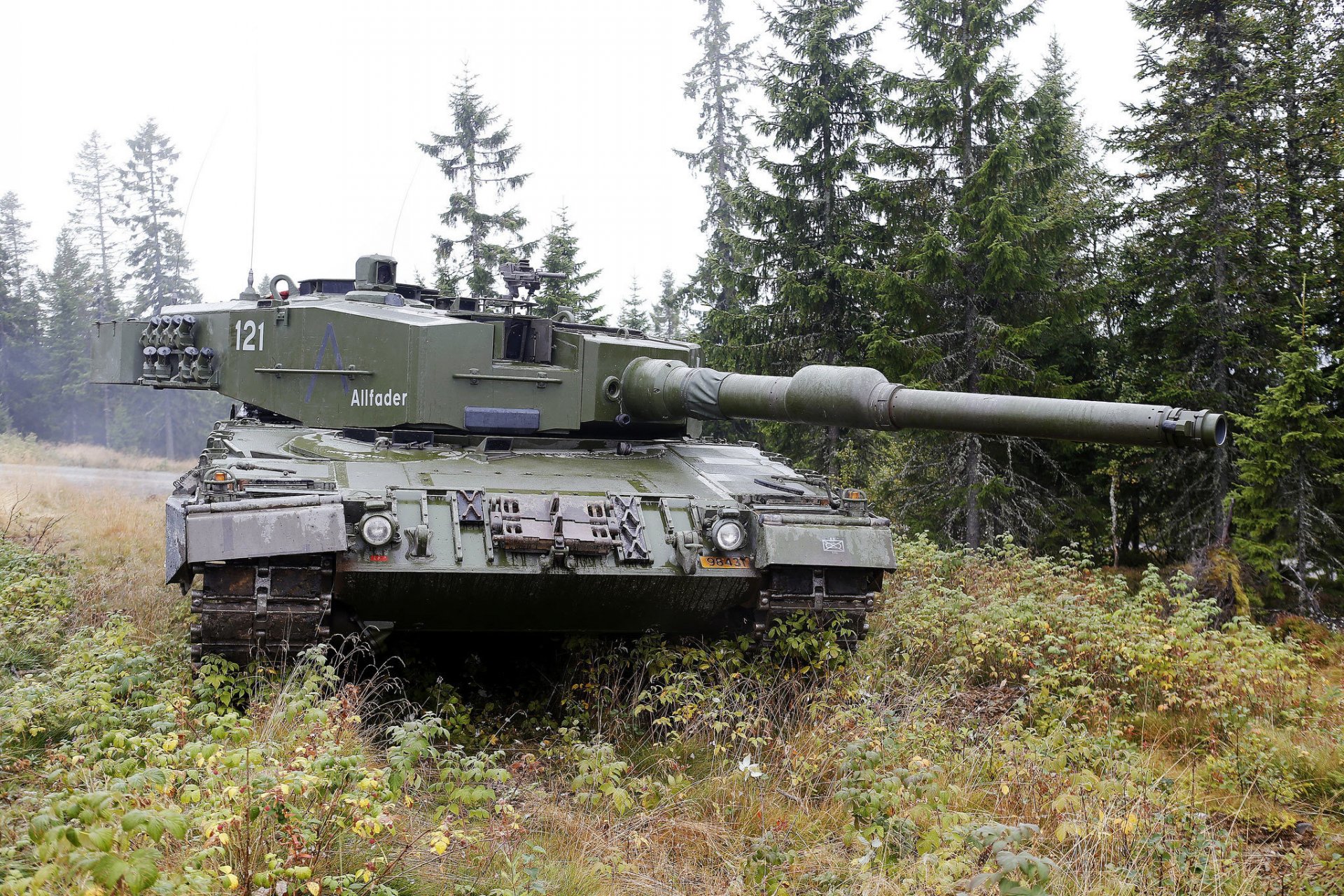 leopard - 2 a4 serbatoio di battaglia veicoli corazzati foresta erba