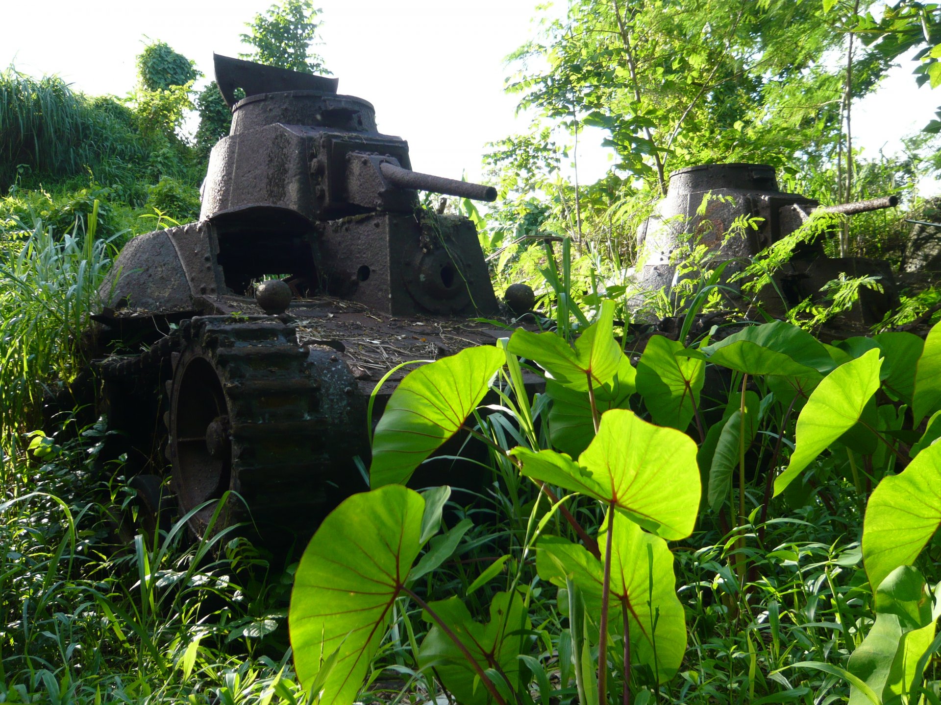 tree grass japanese tanks of the second world war