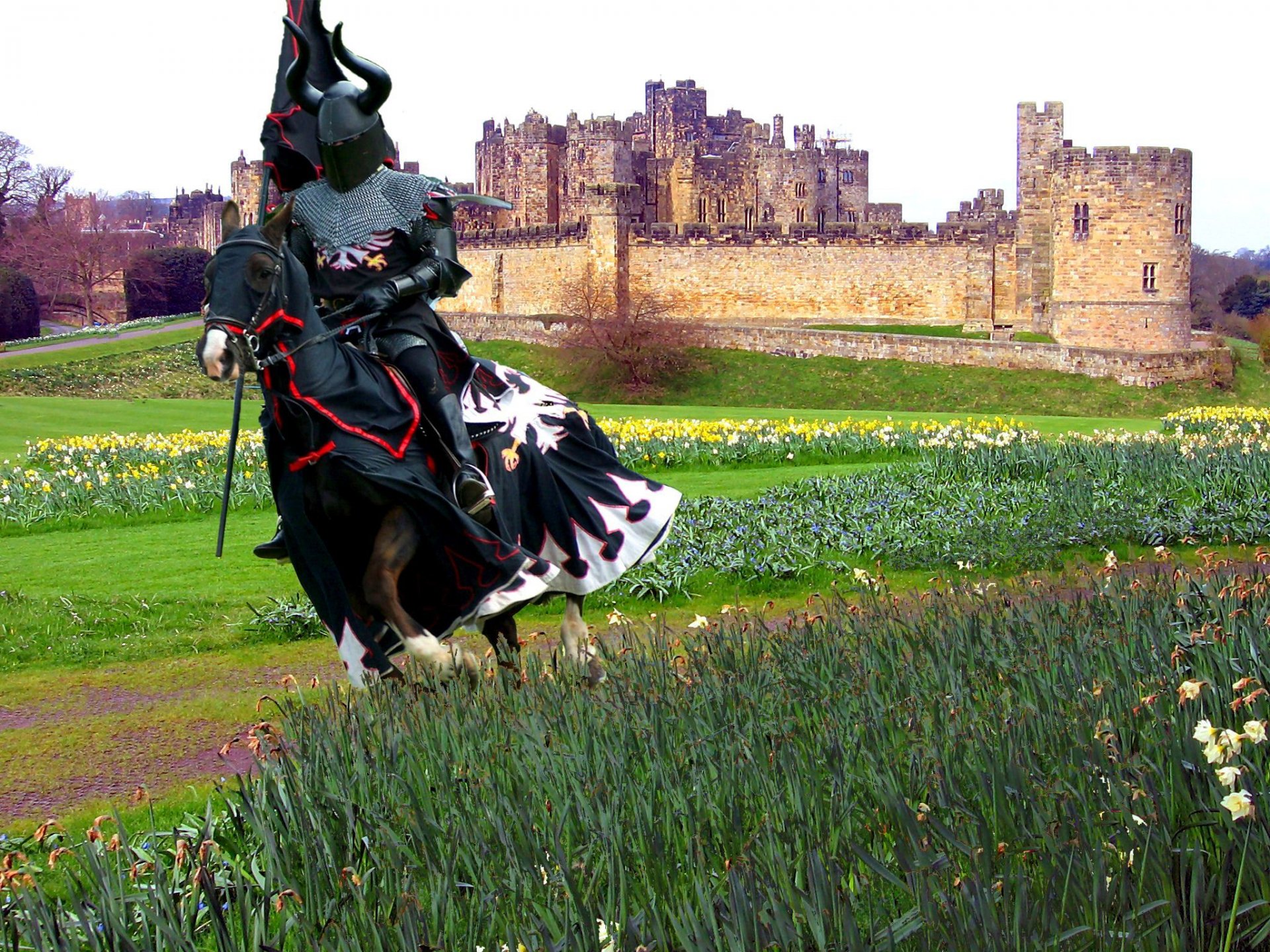 feld gras. blumen ritter rüstung latte wimpel fläche stange schloss