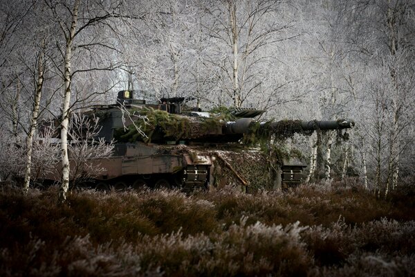 Panzer im Hinterhalt, Panzer tarnen