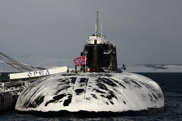 Nuclear submarine eagle in the sea