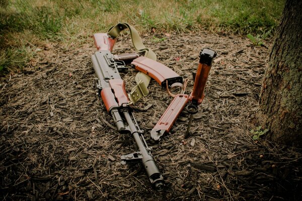 Kalashnikov assault rifle and shtykh on the ground in the forest