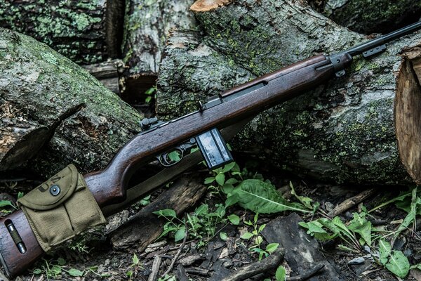 Ein selbstladender Karabiner liegt auf einem umgestürzten Baum