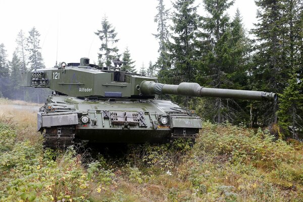 Photo of a battle tank in the forest