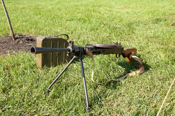 Photo d armes DP-27 sur fond d herbe