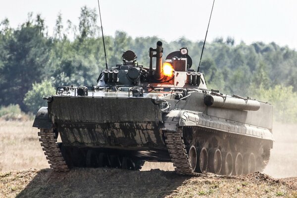 Panzer, Kampffahrzeug auf dem Feld