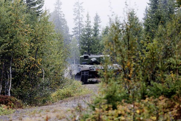 German armored vehicles of the tenth level pass through the forest 