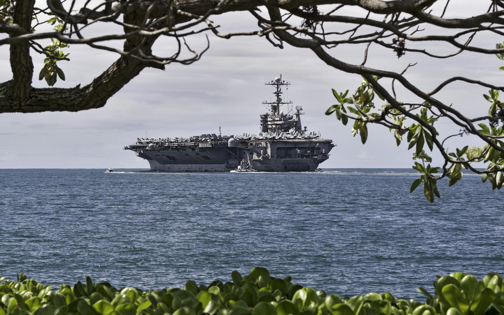 mar militar barco john c. stennis uss john c. stennis cvn-74 americano portaaviones us navy costa árbol ramas ángulo