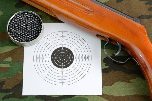 Target and air rifle