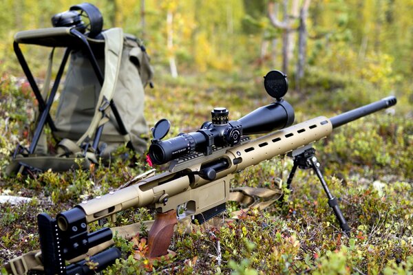 Scharfschützengewehr auf dem Feld der Natur