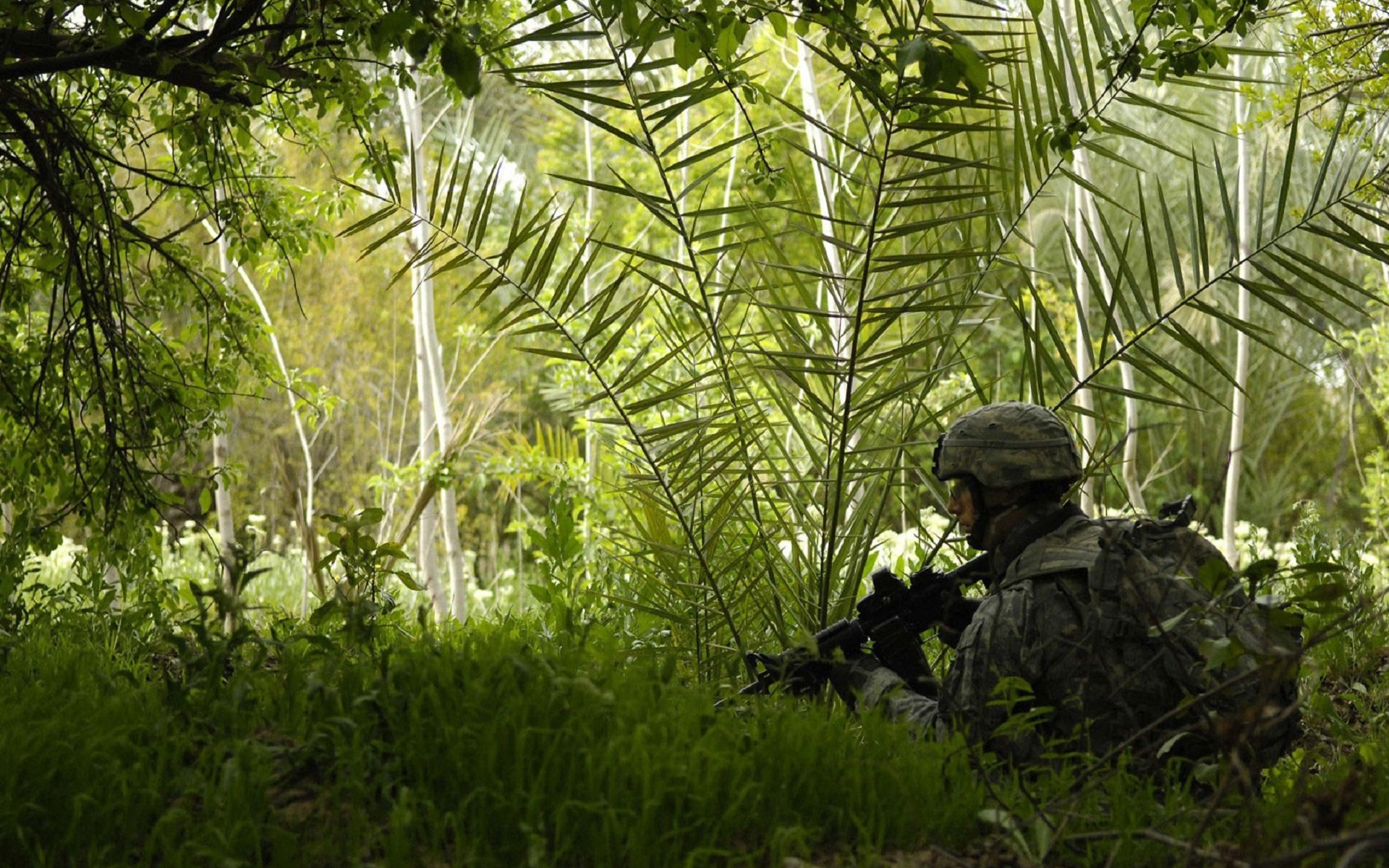 soldado ametralladora equipo bosque hierba