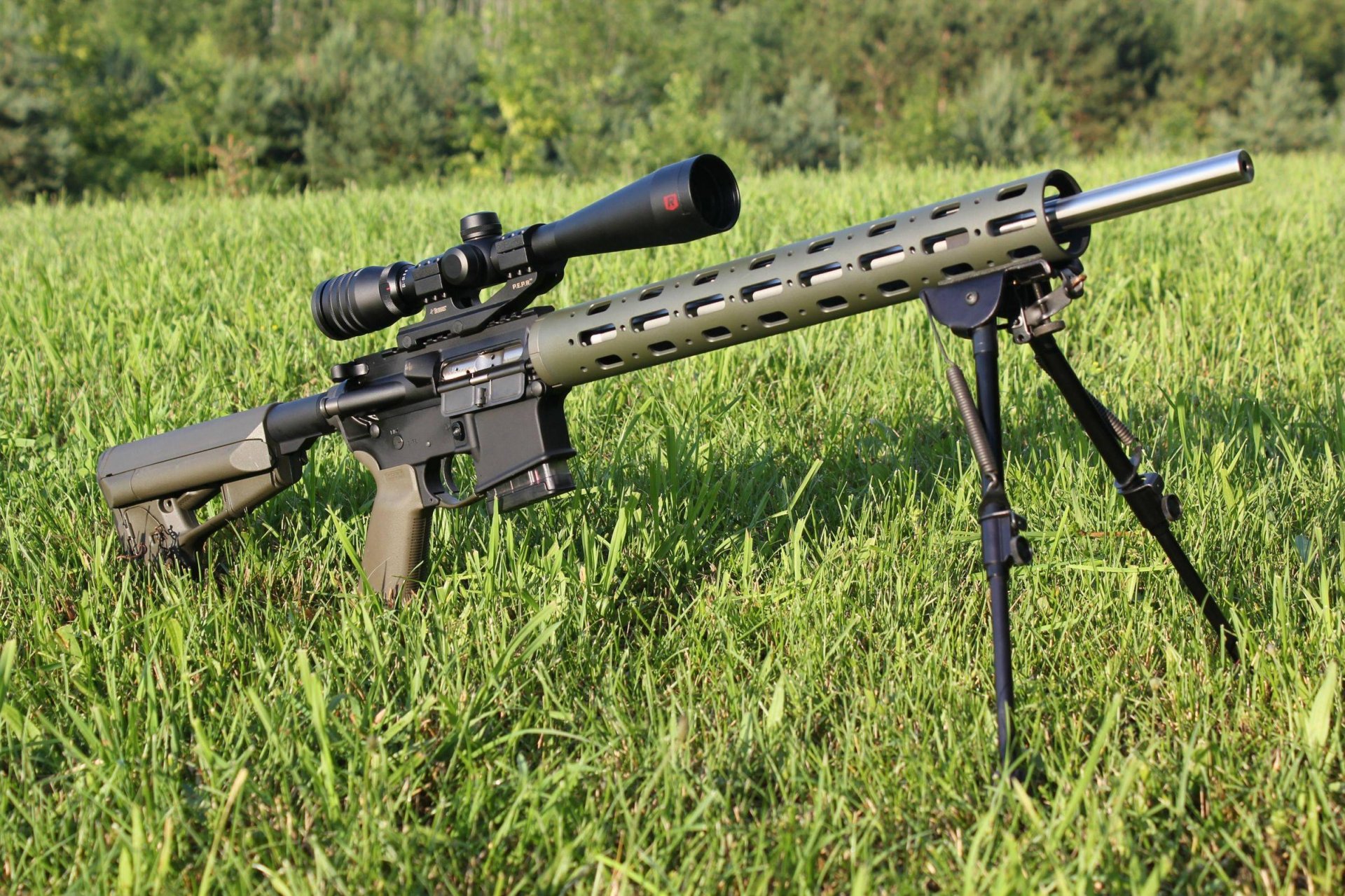 warmint ar-15 modifikation scharfschützenversion optik sauger gras